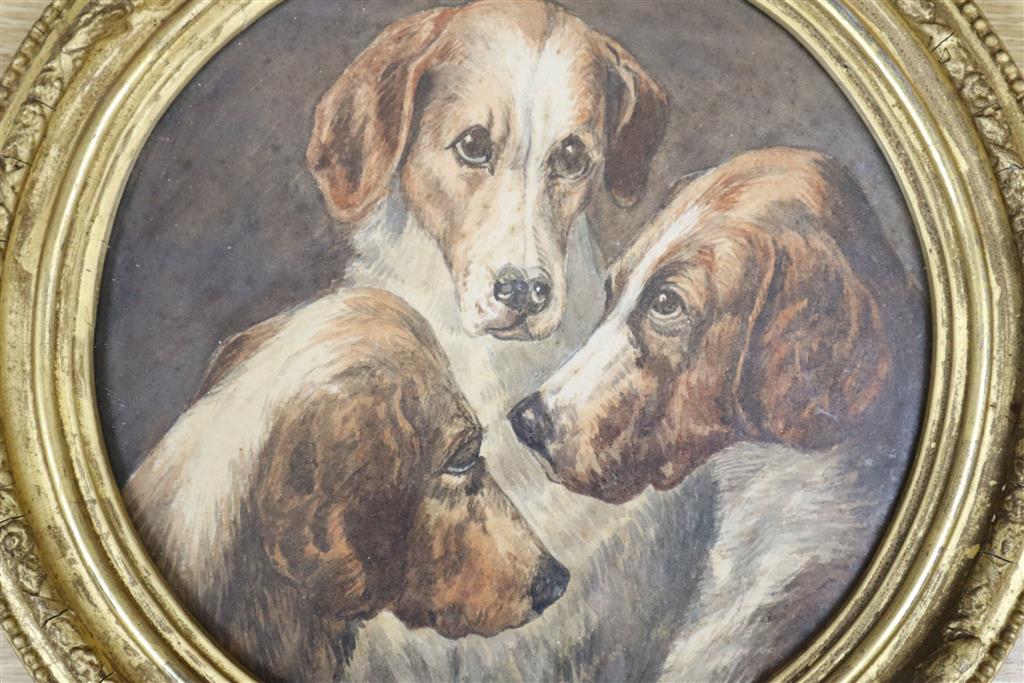 English School, watercolour, Study of three hounds, tondo, 23cm